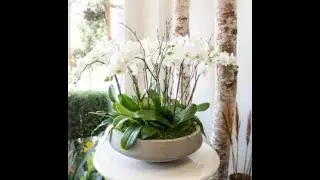 Florist Encino Los Angeles CA - Sonny Alexander Flowers