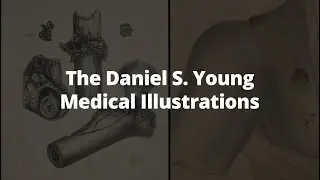 The Daniel S. Young Medical Illustrations