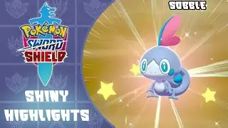 Shiny Sobble REACTION! - Pokemon Sword and Shield