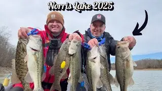 Bass Fishing NORRIS LAKE March 2025