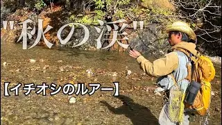 【北海道】秋の渓　イチオシのルアーを紹介❗️ 渓流ベイトフィネス