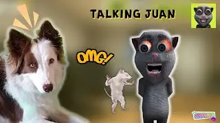 DESCUBRIMOS a Talking Juan ¿ES PELIGROSO? Mel Gamer