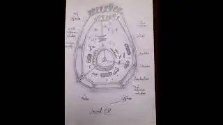 {▪︎Animal cell diagram▪︎}     # class 9 science