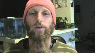 Intro to Ima Mea Channel