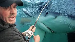 Je pêche UN REQUIN au CANADA !? - Cyril Chauquet