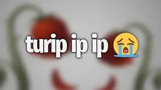 turip ip ip 😭🌹