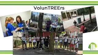 How to Inventory a Boston Street Tree: Introduction (Video 1 of 7)