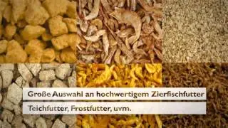 Fischfutter Teichfutter Zierfischfutter Aquaristikzubeh&ouml;r superfischfutter.de