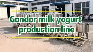 From Milk to Yogurt: The Complete Yogurt Production Line Process Explained 🍶➡️🍧 #gondormachinery