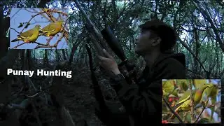 Punay Hunting using airgun co2 converted to pcp// New Adventure EP 1