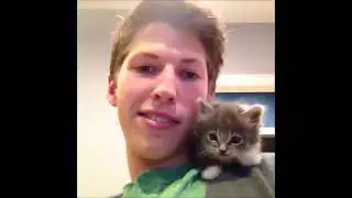(REUPLOAD) Ultimate cat vines compilation   Funny cats compilation
