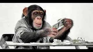 Как зарабатываются деньги в интернете с PureLeverage?