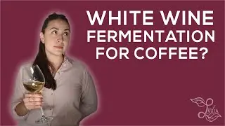 Ферментация белого вина в кофе? Люсия Солис
