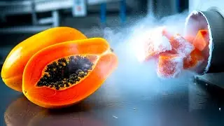 Inside a Papaya Processing Factory: From Whole Papayas to Frozen Products