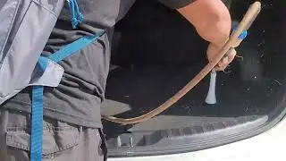 Best way to tackle PET hair
