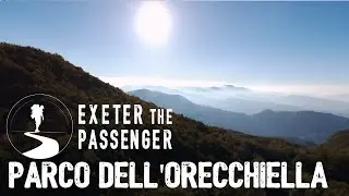 Parco dell'orecchiella Bivacco funghi e drone