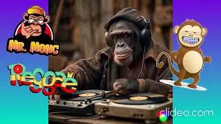 MONKEY REGGAE 2
