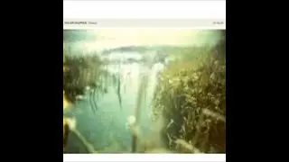 Taylor Deupree - Shoals (FULL CD ALBUM - 2010 - 12k - Experimental/Ambient)