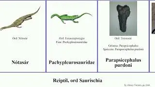 Reipt&iacute;l, ord Saurischia occidentalis gracilis reptilia africanus Fuse Pl&eacute;as&aacute;r Hadrosauridae Target