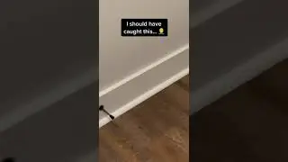 The 💩 you discover when sitting on the toilet... 🤦&zwj;♂️