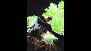How am i built the jungle hideout #camping #survival #Outdoors #bushcraft #travel