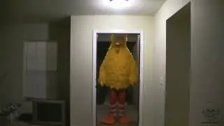 Big Bird kicks down the door 