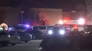 Police: Juvenile with stolen gun charged after reported fight at Haywood Mall