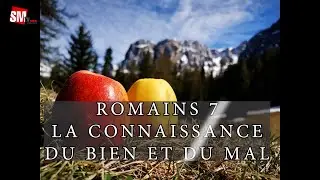 Rom 7 La connaissance du bien et du mal 24 juillet 2024- Christian PELLONE