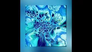 (76) WOW! Stunning Bloom with gorgeous #cells ! No pillow! Golden's Cerulean Blue Deep CA and PM!