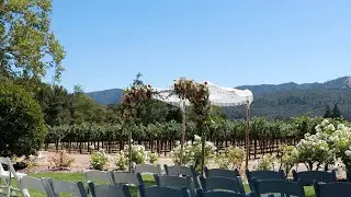 Beautiful Wine Country Wedding at The Harvest Inn