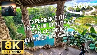 Experience The Tranquil Beauty Of San Antonio's Japanese Tea Garden