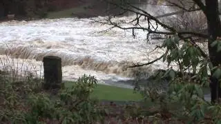 Representative Upthegrove Legislative Update 110509 Special on Flooding