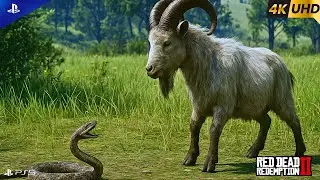 Wild Snake vs Goat 🐍🐐 | Full Cinematic Scene | Red Dead Redemption 2 [4K 60FPS]