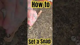 Learn how to set a snap on your leather project | Leathercraft