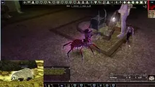 NWN Higher Ground - Introduction to the Shifter - Part 1