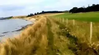 Walking My Dog Along Seawall At Creeksea Filmed With Hyperlapse Burnham on Crouch