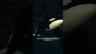 A creepy sea predator 