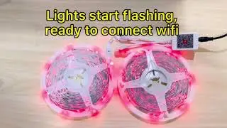 DAYBETTER Smart WiFi Led Lights 100ft Tuya App Controlled Led Strip Lights Work