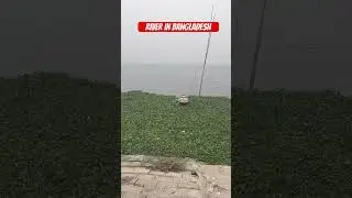 Winter in Bangladesh almost feels like heaven #80smusic #travel #shorts #viral