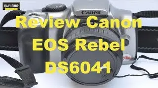 QAVUSHOP | Review Canon EOS Digital Rebel DS6041 | Canon 300D
