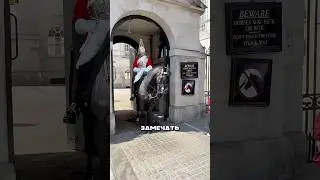Почему гвардеец не дает трогать коня? #амитеш