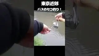 バスのセコ釣り！カットテールでチョンチョン！　 #バス釣り #ワーム #カットテール