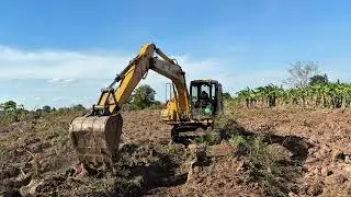 Excavator Making Free Flow Canal For Napier Grass Irrigation 