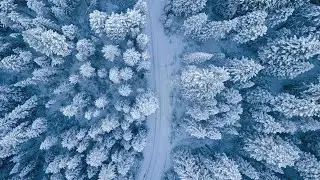 Mini-Winter: Schnee-Comeback am Wochenende