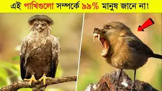 Top 10 Rarest Birds in the World | বিশ্বের 10 টি সবচেয়ে রহস্যময় পাখি