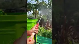 🔥Always buy this type Sprayer gun👌🏻 #farming #agriculture #sprayer