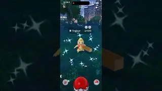 Catch Shiny Timburr in Pok&eacute;mon Go #pokemon #shiny #pokemongo