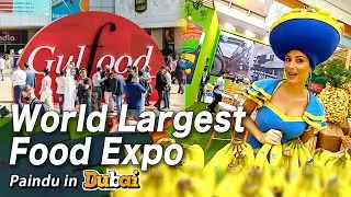 GULFOOD 2025 DUBAI : Complete Tour of World Largest Biggest Food & Beverage Rice Pulses Coffee Expo
