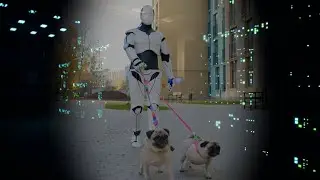 AI: An Overview of Artificial Intelligence