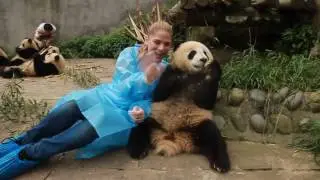 Work and Travel China - Lovely Pandas